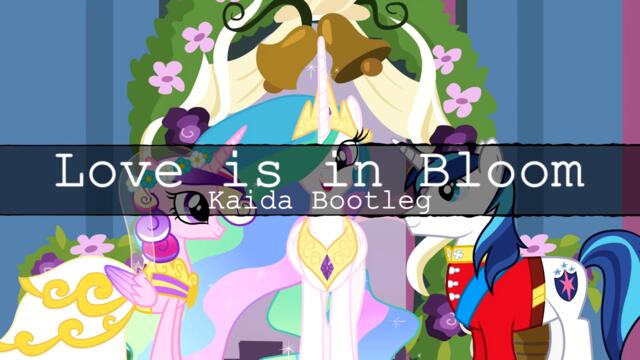 [Trance] Twilight Sparkle - Love is in Bloom (Kaida Bootleg) (From My Little Pony: FiM)