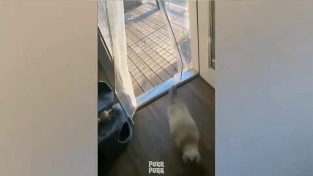 не се смей Challenge