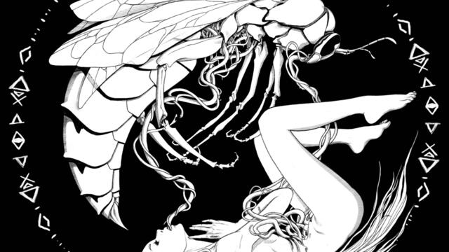 Complete Desegmentation Of The Neck