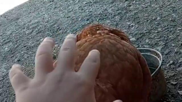 А извинявай срещнах