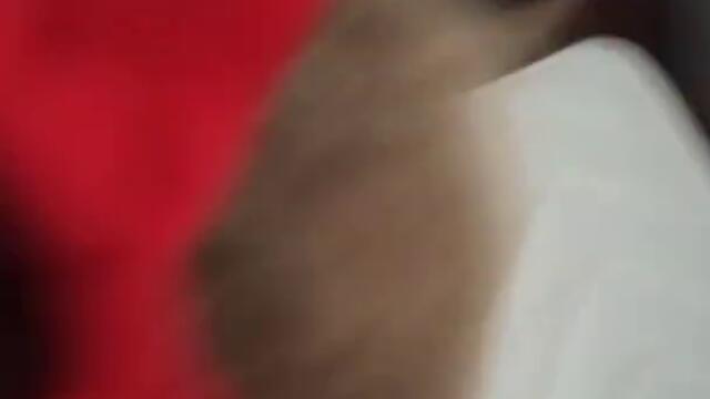 влог с моята приятелка и с моето лудо коте