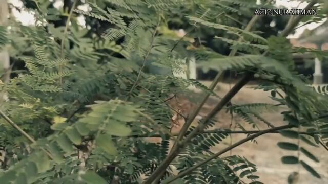 TIDAK ADA AHLI WARIS! DAN MOBIL TUA SAKSI KECELAKAAN || RUMAH JUTAWAN  DI BIARKAN JADI RUMAH KOSONG