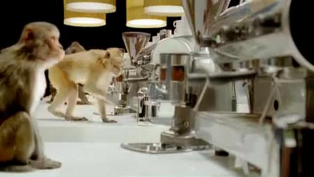 Costa Commercial - Monkeys & Typewriters