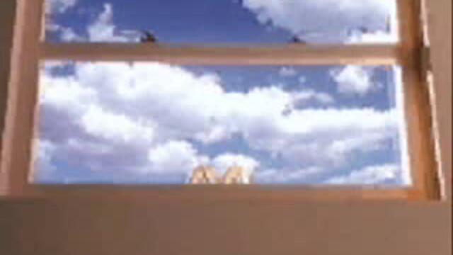 Забавна Реклама На Mcdonalds - Vbox7[via torchbrowser.com]