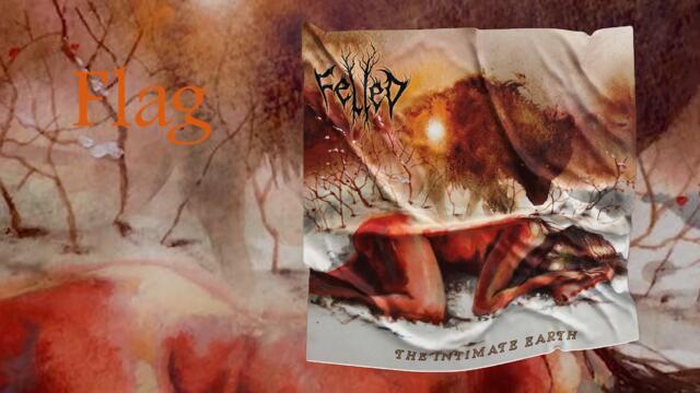 FELLED (US) - Sphagnum in the Hinterlands (Atmospheric Black/Folk Metal) #transcendingobscurity