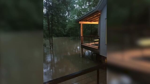 60 подлянок от природы