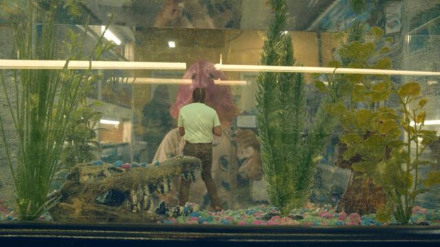 Shayhan - Never Ask (Official Music Video)