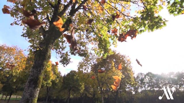 Soft Piano Dramatic Modern Classical Composition