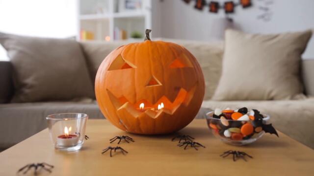 $6675 a Month KDP Niche and FREE Keywords