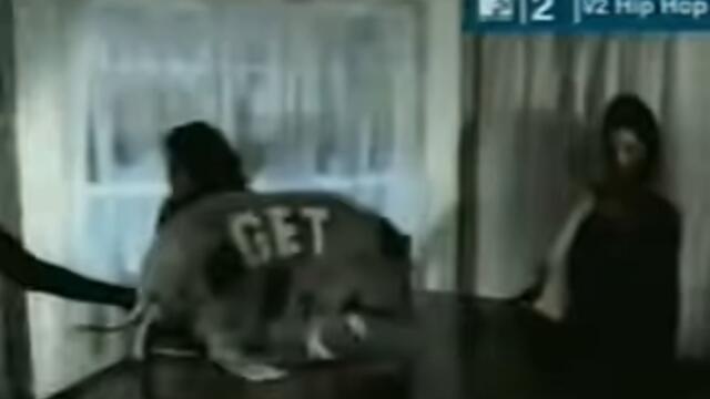 Butthole Surfers - The Shame of Life