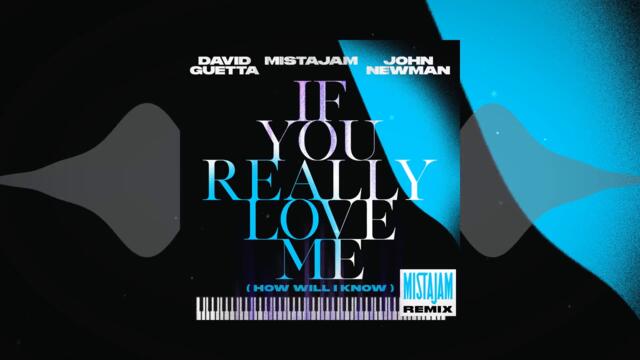 David Guetta x MistaJam x John Newman - If You Really Love Me [MistaJam remix]