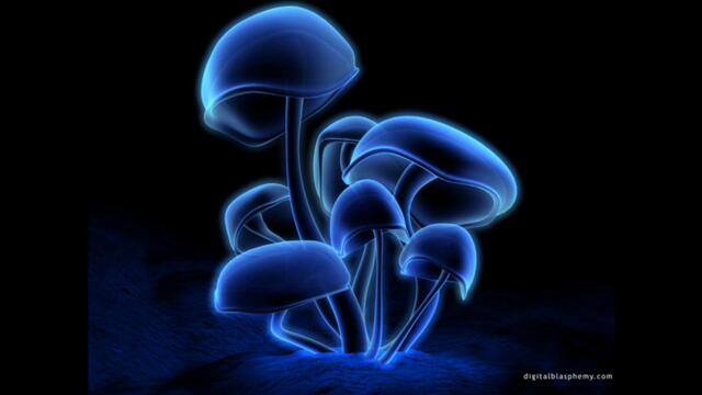 Subsunday - So Good (Cor Fijneman Remix] HQ