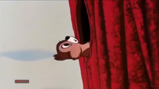 البطة دونالد ميكي ماوس والسناجب up a tree @Mickey Mouse