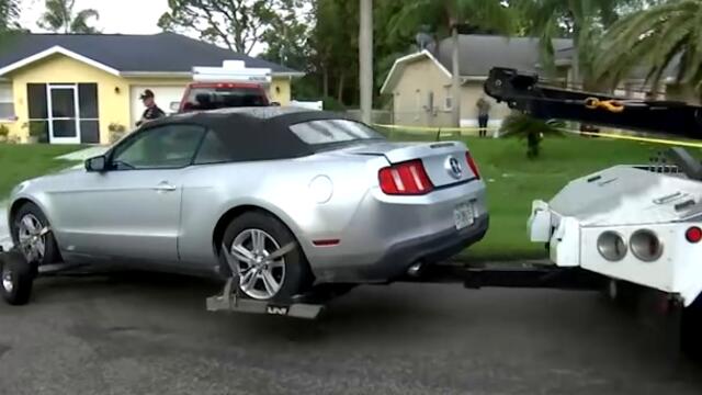 Search for Brian Laundrie Continues Amid the Investigation into Gabby Petito's Disappearance #Shorts