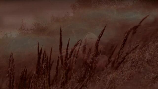 WALDTRAENE - Aequinox (Official Video)