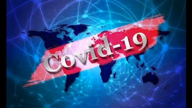 Коронавирус - Извънредно положение - Plamen Dim Petkov