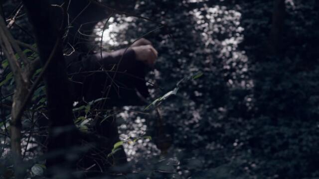 Heart Attack Man - "Pitch Black" (Official Video)