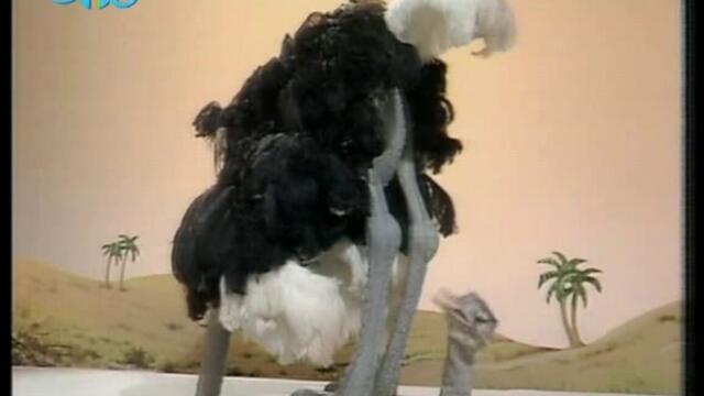 The Benny Hill Show Е55 [BGAudio.TVRip]-Planet