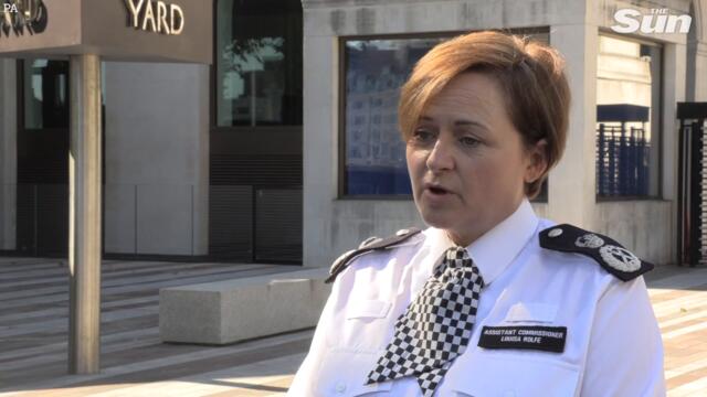 Sabina Nessa: Cops release video of second man hunted by police & silver car