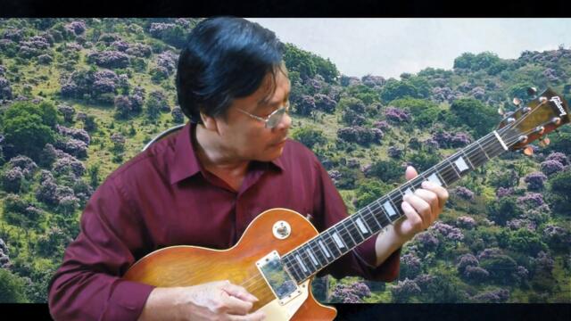 Những đồi hoa sim - Nhạc Dzũng Chinh -Thơ Hữu Loan - Tỉa nốt Guitar Bolero đơn giản nhất