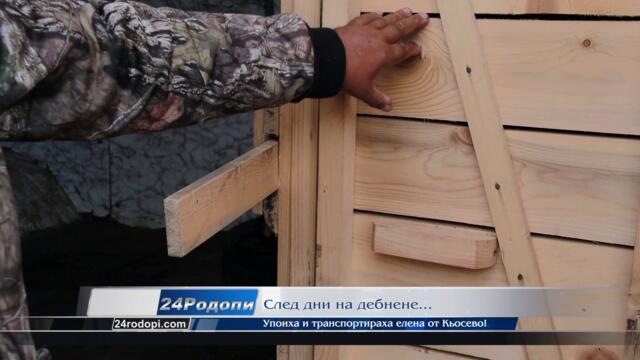 След акцията „Спасяване на елен“, Хасан Азис: Доказахме, че можем да се грижим за дивите животни!