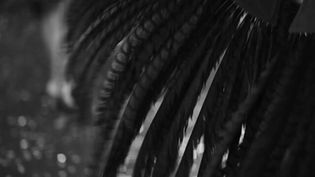 Regra Três Toquinho e Vinícius de Moraes cover inst remix by Hiyokomame