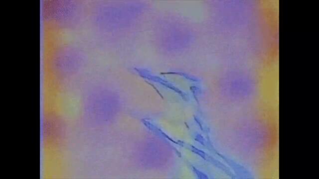 Nujabes Type Beat - "Cover Me" | ChillHop / JazzHop / Soulful BoomBap Beat [125 BPM] (prod TapDaddy)