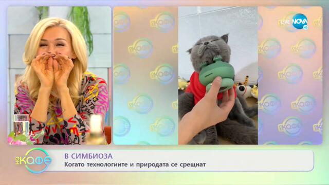 Георги Братоев за представянето си в предаването Игри на волята - На кафе (30.09.2021)