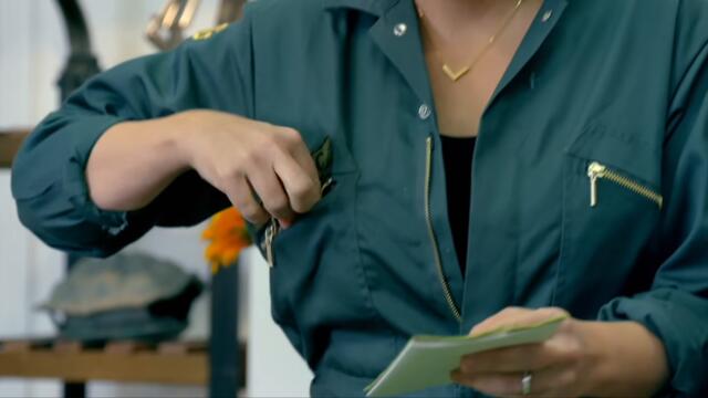 Camouflage Yourself - FULL TASK