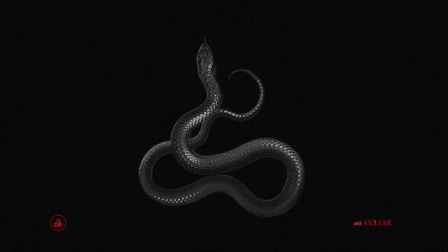 COLLAR - STRANGEST DESIRES (Lyric Video)