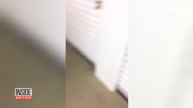 Rodents Are Infesting Many Storage Units Across the Country