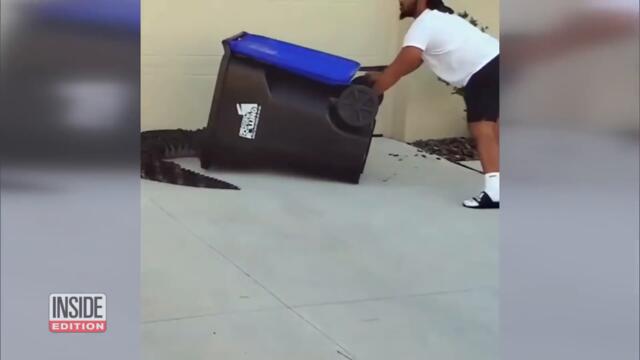Gator vs. Garbage Can
