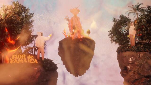Flor de Jamaica - Esa Manía (Visualizer)