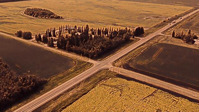 Diogo Alves - O blues é uma tristeza altiva