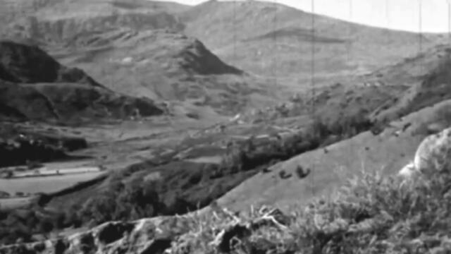 Rosa Lavenne - Jarvis Valley (Official Music Video)