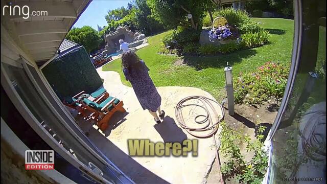 Family Saves Chihuahua From Coyote’s Jaws