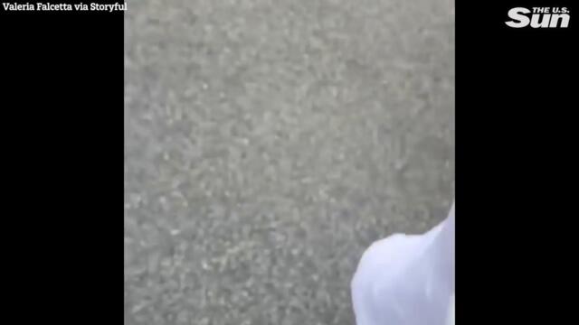 LaGuardia Airport emergency landing sees passenger arrested after bomb scare