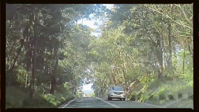 Moaning Lisa - Too Many (Official Music Video)