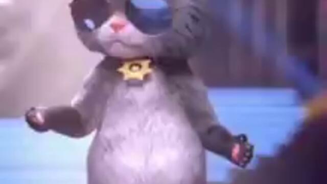 Cat Dancing from milions