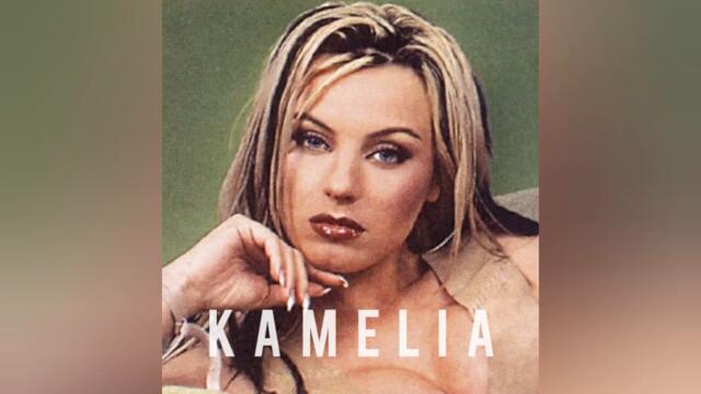 Камелия - Ти си виновен (Audio)