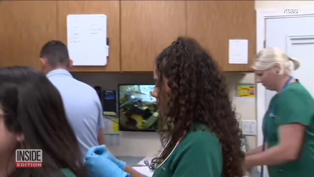 Vets Are Burned Out Treating Surge of Pandemic Pets