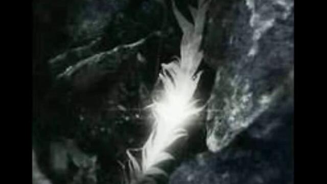 Rapture - I Am Complete