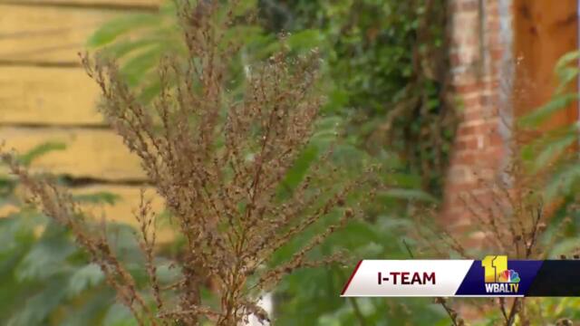 Wife demands justice for husband after remains found after disappearance