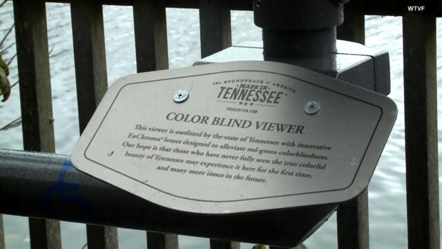 ‘Colorblind Viewers’ Help Open a New World of Sight