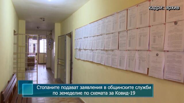 Стопаните подават заявления в общинските служби по земеделие по схемата за Ковид19