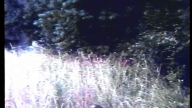 VJEŠTICE - Totalno drukčiji od drugih