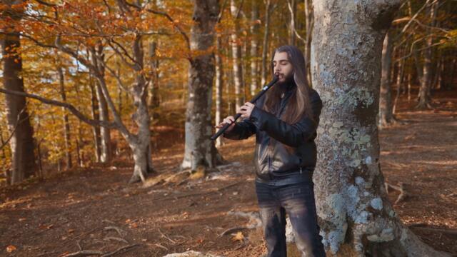 "Scarborough Fair" Low Whistle Solo