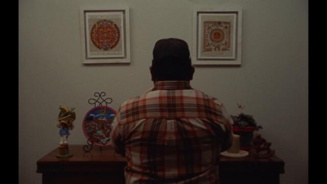 Shrt_lyf - Love is All We Got (Official Music Video)