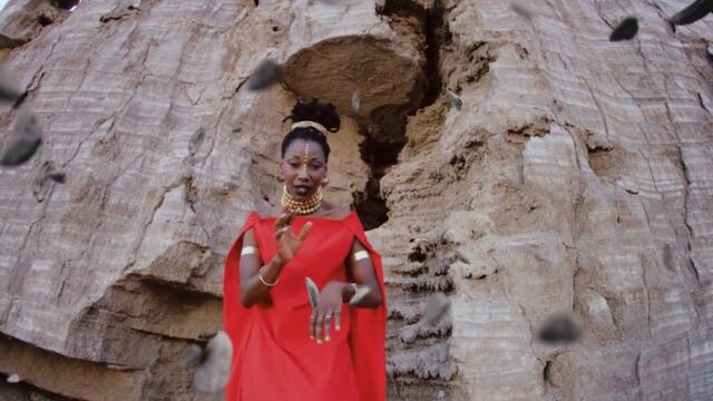 Fatoumata Diawara - Nterini