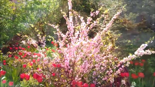 Доброе Утро! 𝓢 𝓾 𝓹 𝒆 𝓻  ЧАСТУШКИ  Band ODESSA 👼 Я, НАВЕРНО, ЭТУ РАЮ 👒